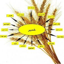 نان محلی و سنتی
